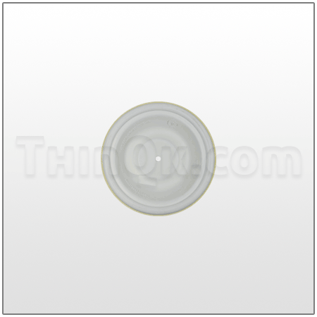 Diaphragm  DC151801-43