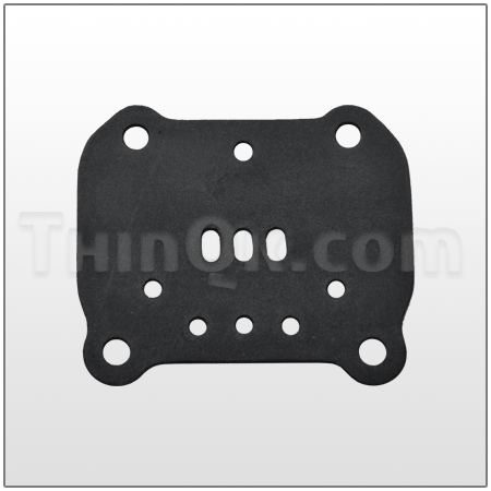 Gasket  DC360.V003.360